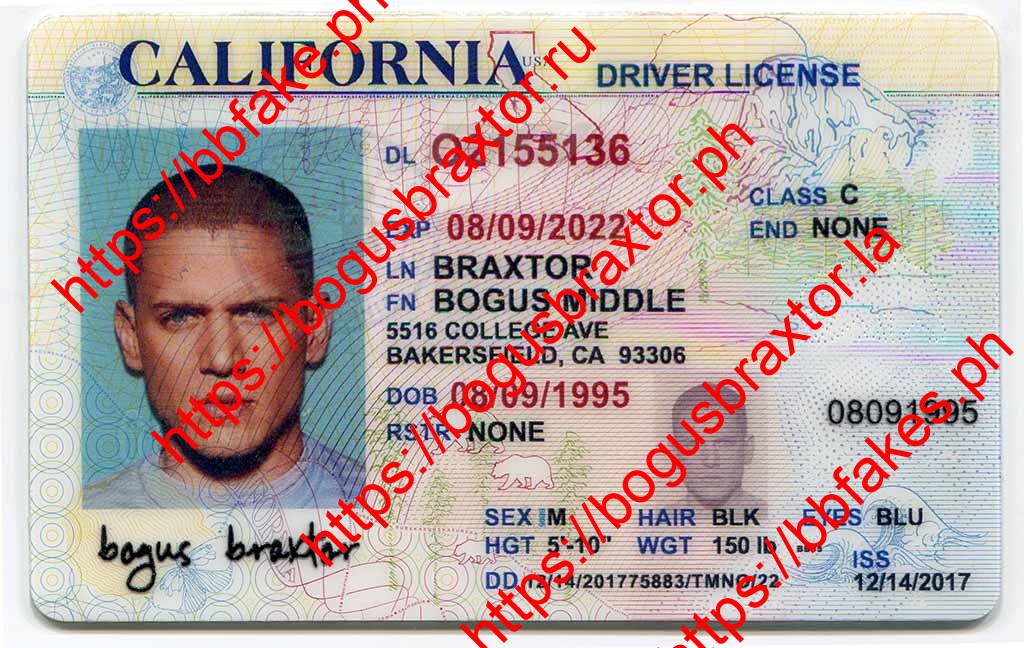 Bogus Braxtor Fake ID - California Over 21