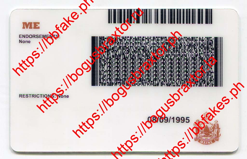 Maine Fake IDs - Image 2