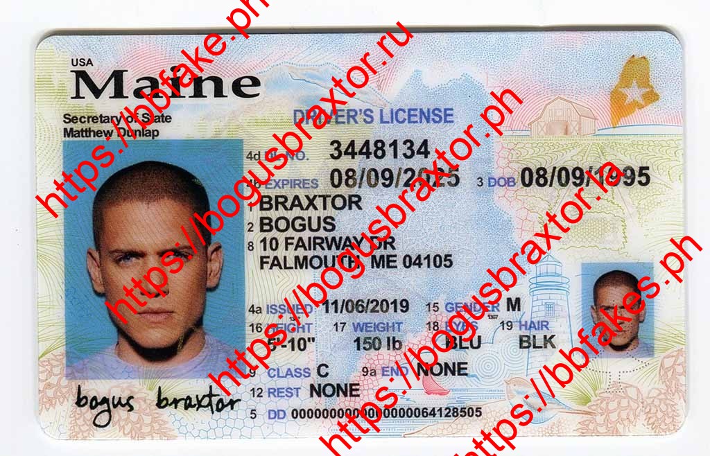 Bogus Braxtor Fake ID - Maine Fake IDs