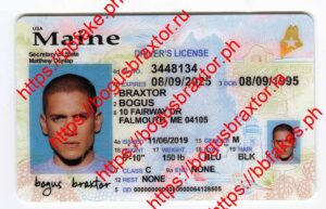 Bogus Braxtor Fake ID - Maine Fake ID