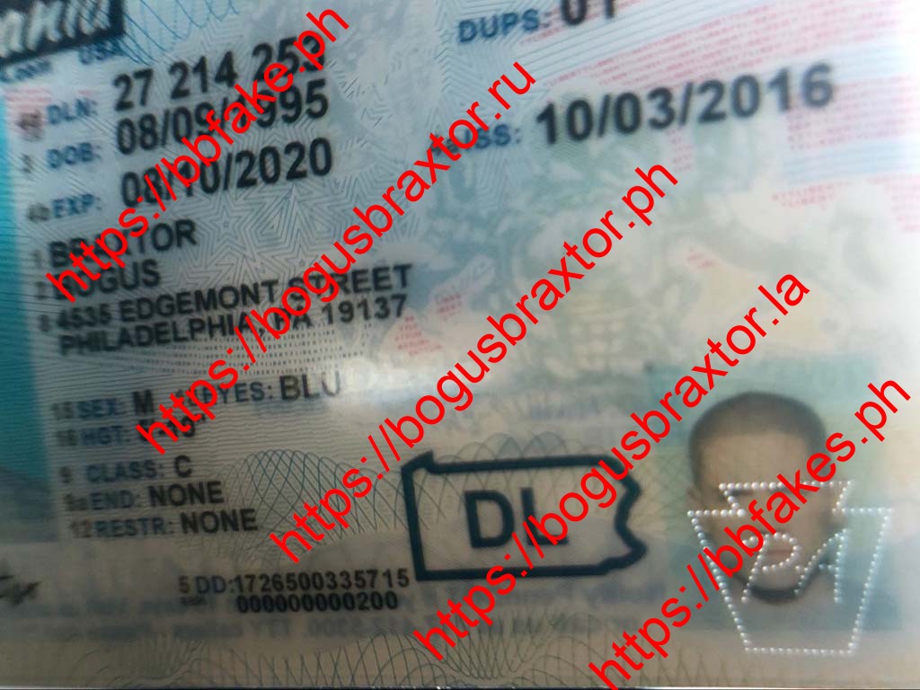 New Pennsylvania Fake ID - Image 5