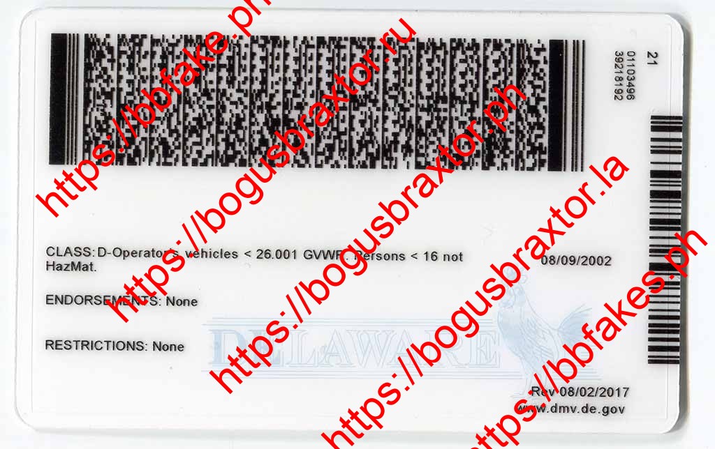 Delaware Vertical Fake ID - Image 2