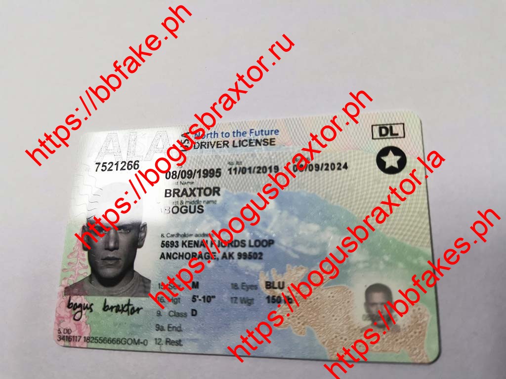 Alaska Fake ID - Image 5