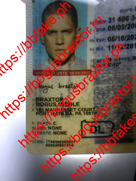 Pennsylvania Vertical Fake ID - Image 3