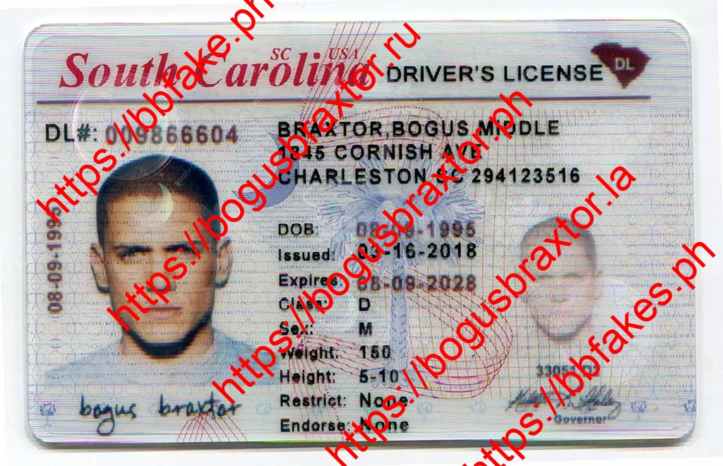 Bogus Braxtor Fake IDs - South Carolina Fake ID