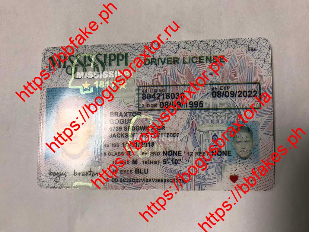 Mississippi Fake ID - Image 4
