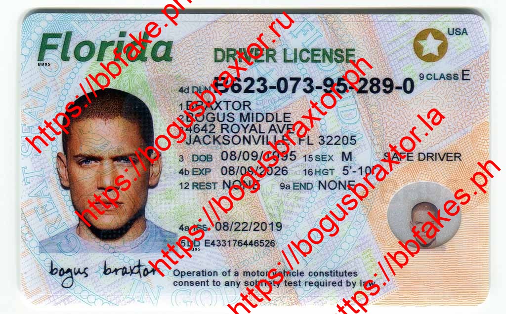 Bogus Braxtor Fake ID - Florida Fake ID