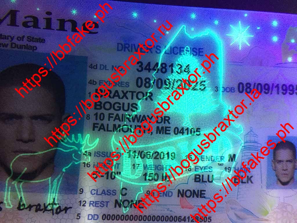 Maine Fake ID - Image 2