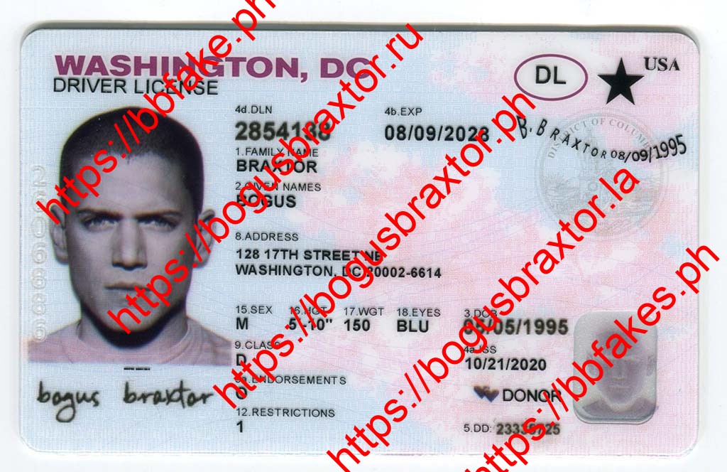 Bogus Braxtor Fake ID - Washington DC Fake ID