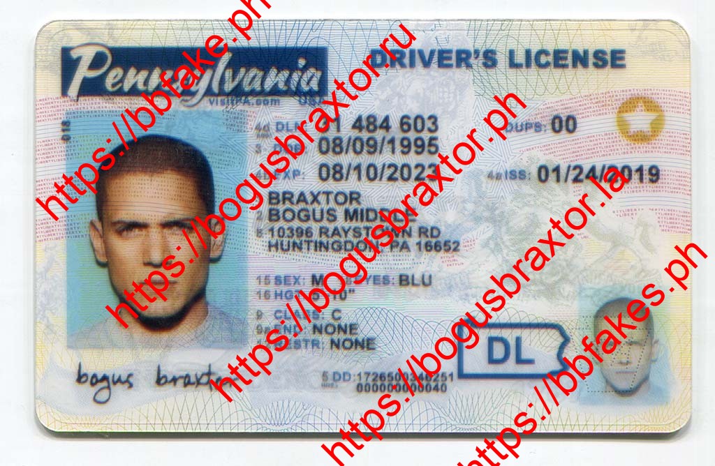 Bogus Braxtor Fake ID - New Pennsylvania Fake ID