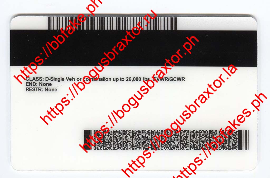 Minnesota Fake ID - Image 2