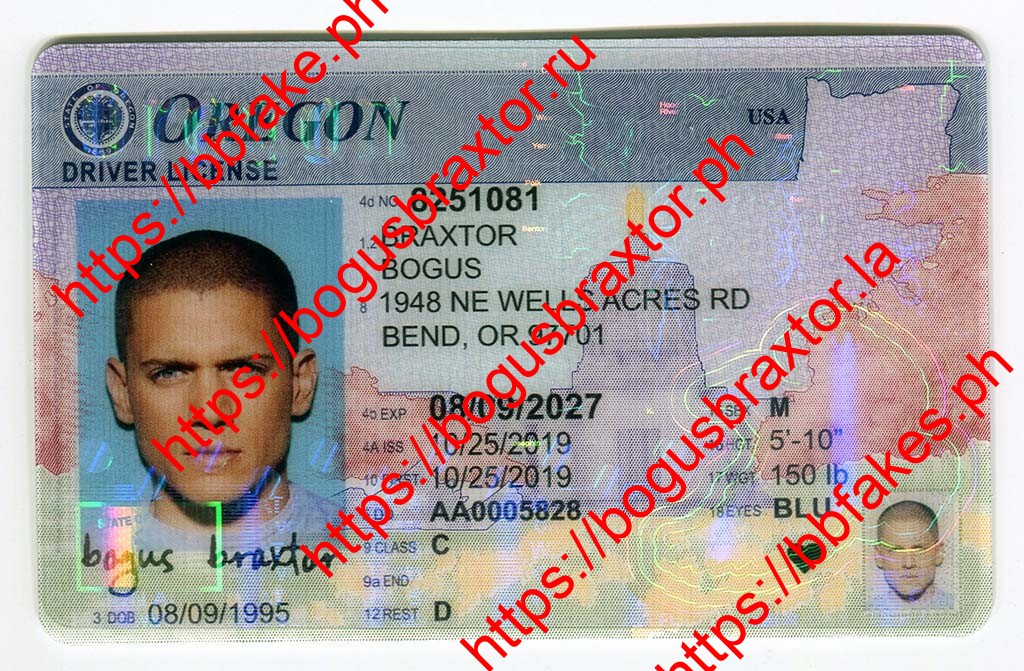 Bogus Braxtor Fake ID - Oregon Fake ID