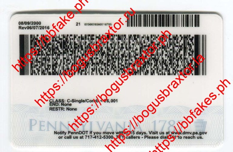 Pennsylvania Vertical Fake ID - Image 4