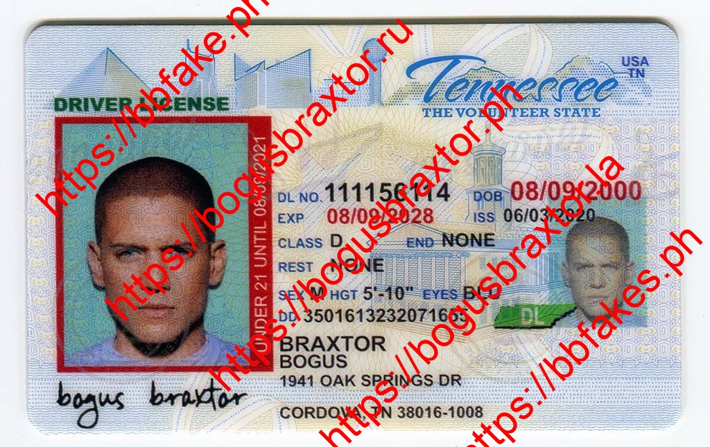 Bogus Braxtor Fake ID - Tennessee Fake ID
