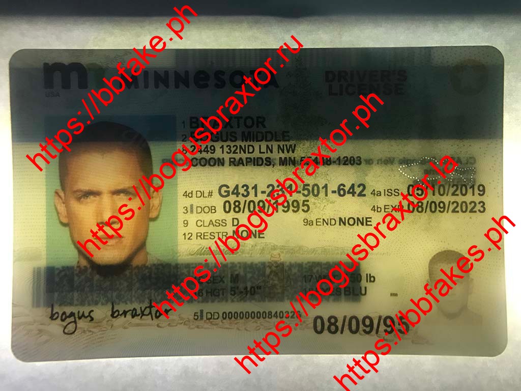 Minnesota Fake ID - Image 4