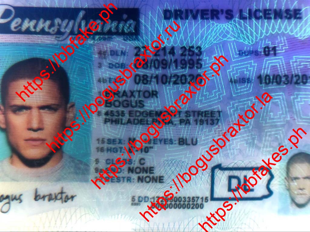 New Pennsylvania Fake ID - Image 4
