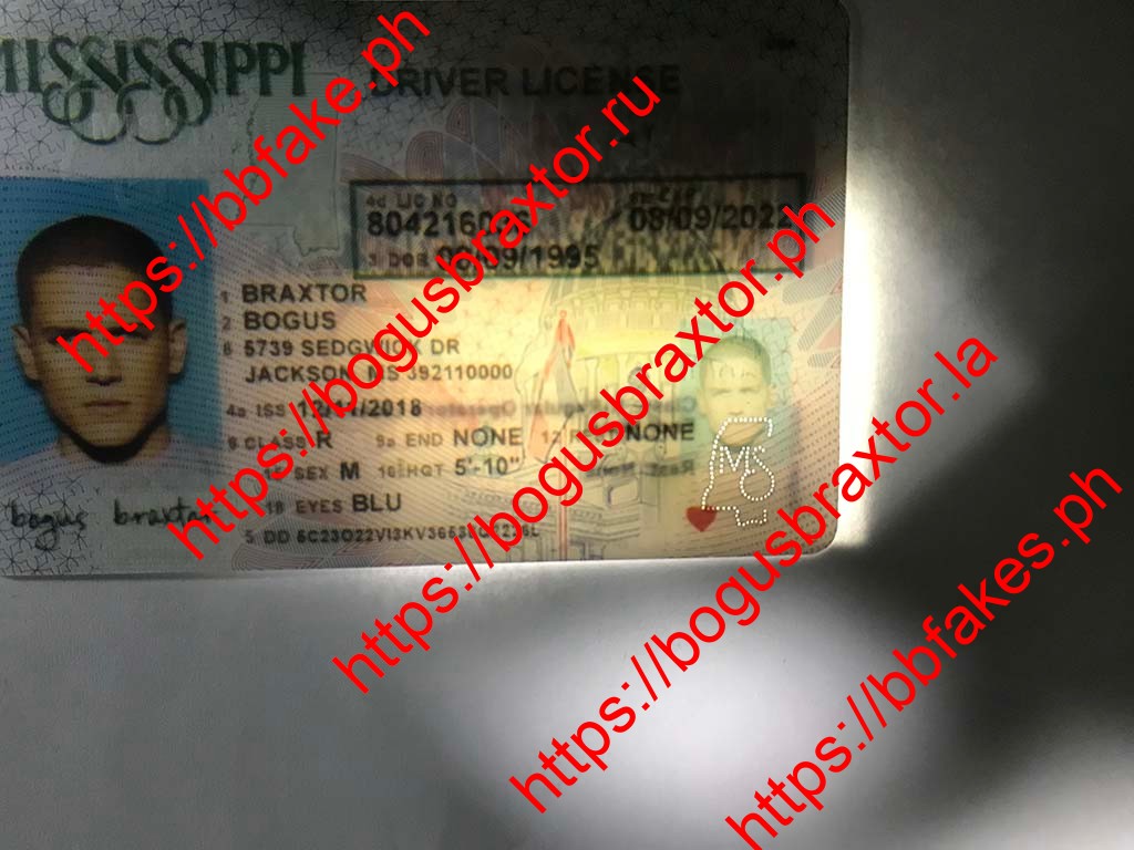 Mississippi Fake ID - Image 2