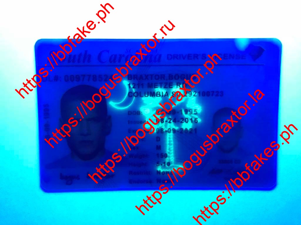 South Carolina Fake ID - Image 3