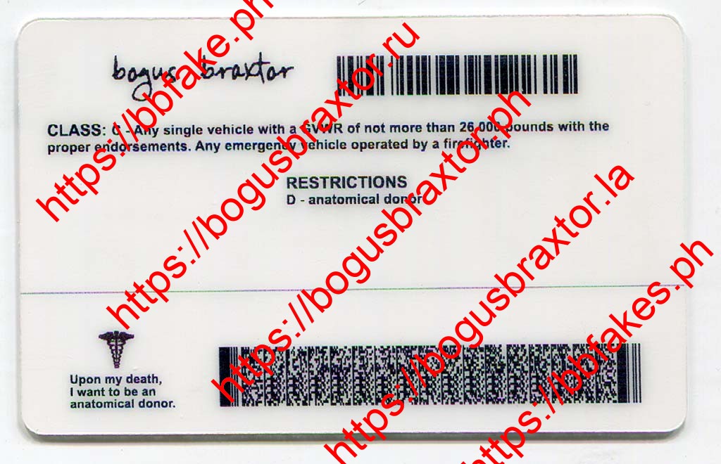 Oregon Fake IDs - Image 4