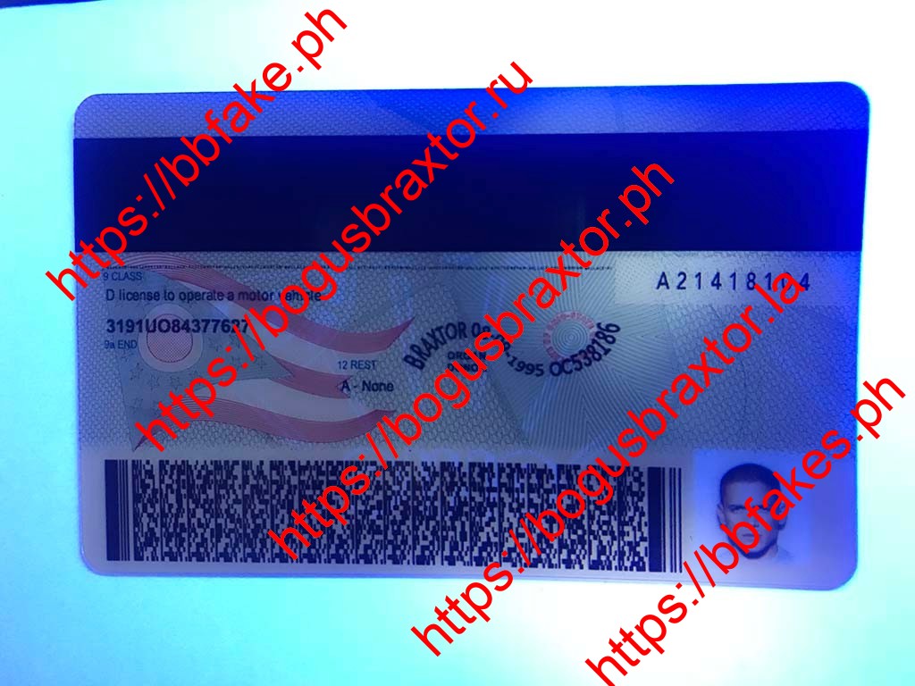 Ohio Fake ID - Image 4