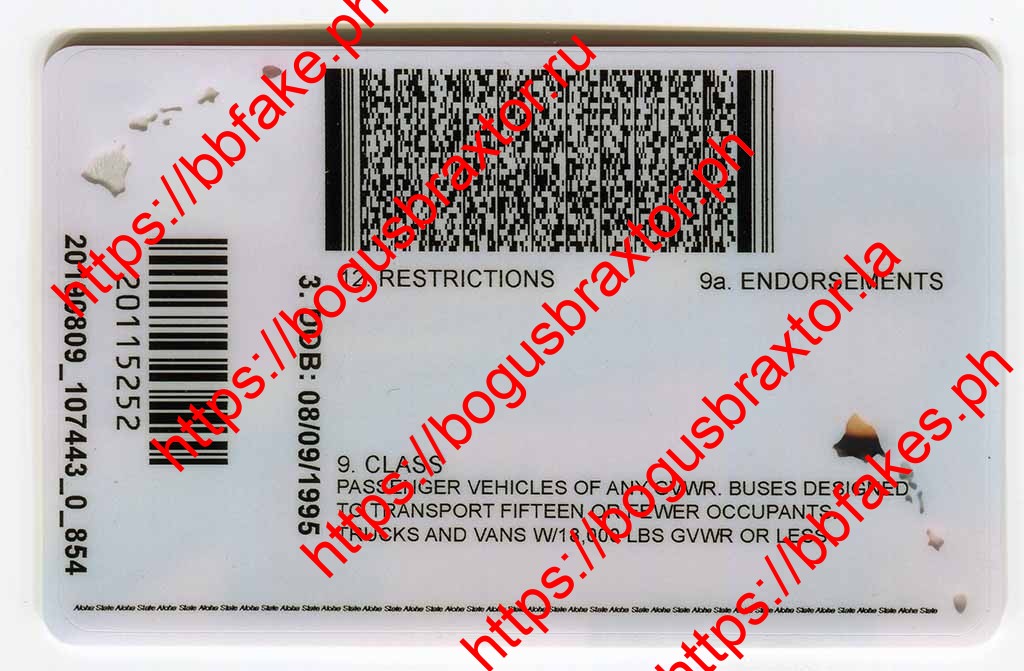 Hawaii Fake ID - Image 2