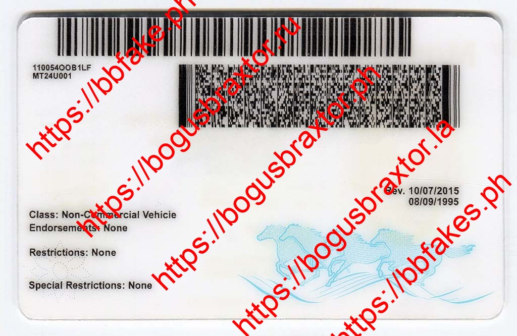 Montana Fake ID - Image 2