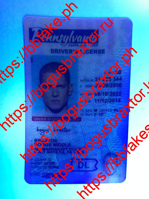 Pennsylvania Vertical Fake ID - Image 2