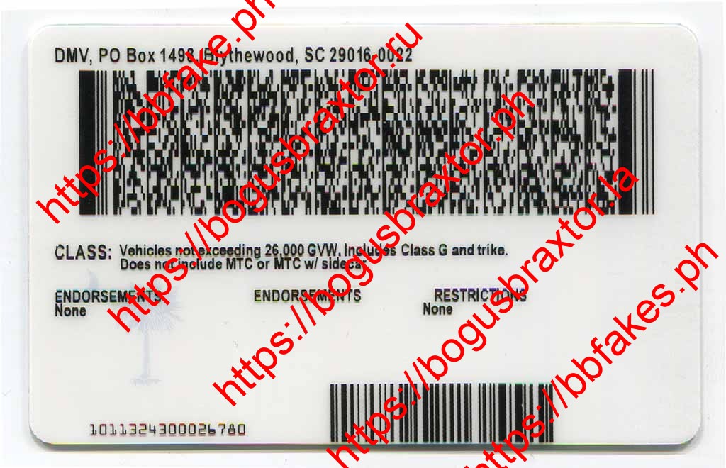 South Carolina Fake ID - Image 2