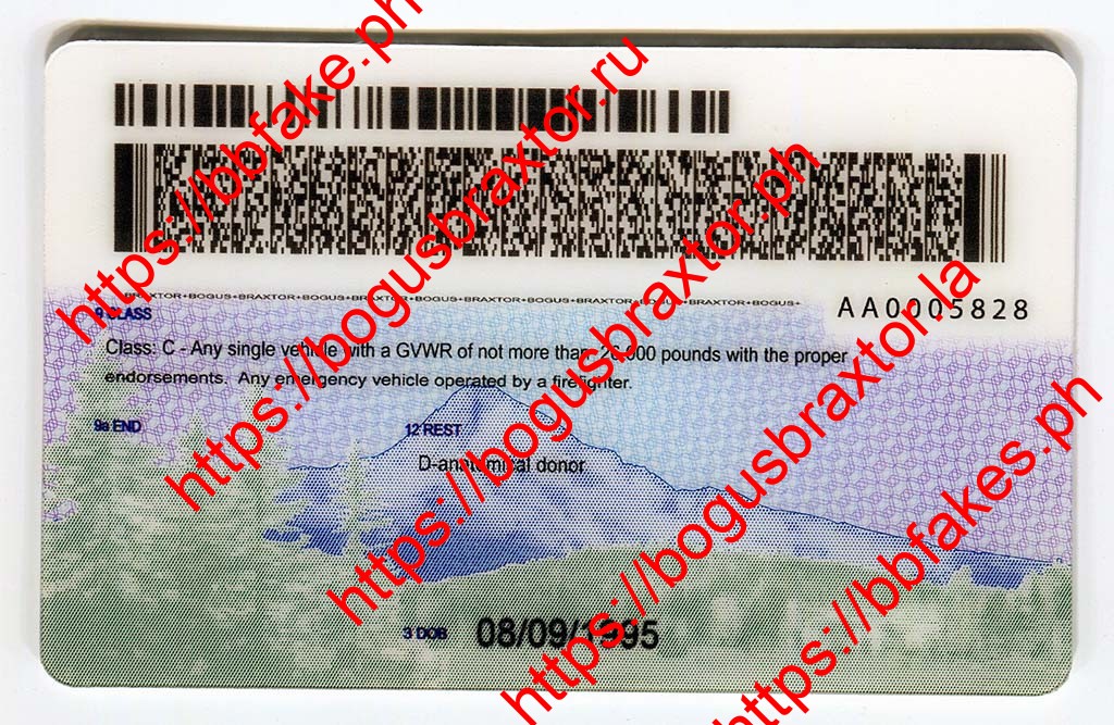 Oregon Fake ID - Image 2