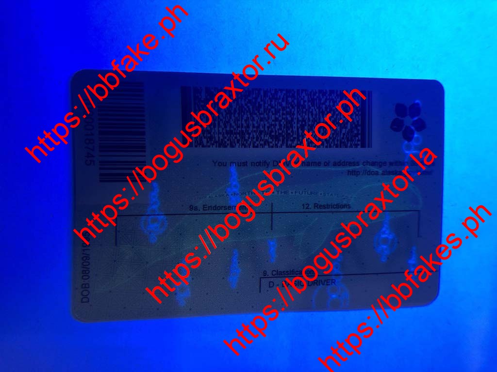Alaska Fake ID - Image 3