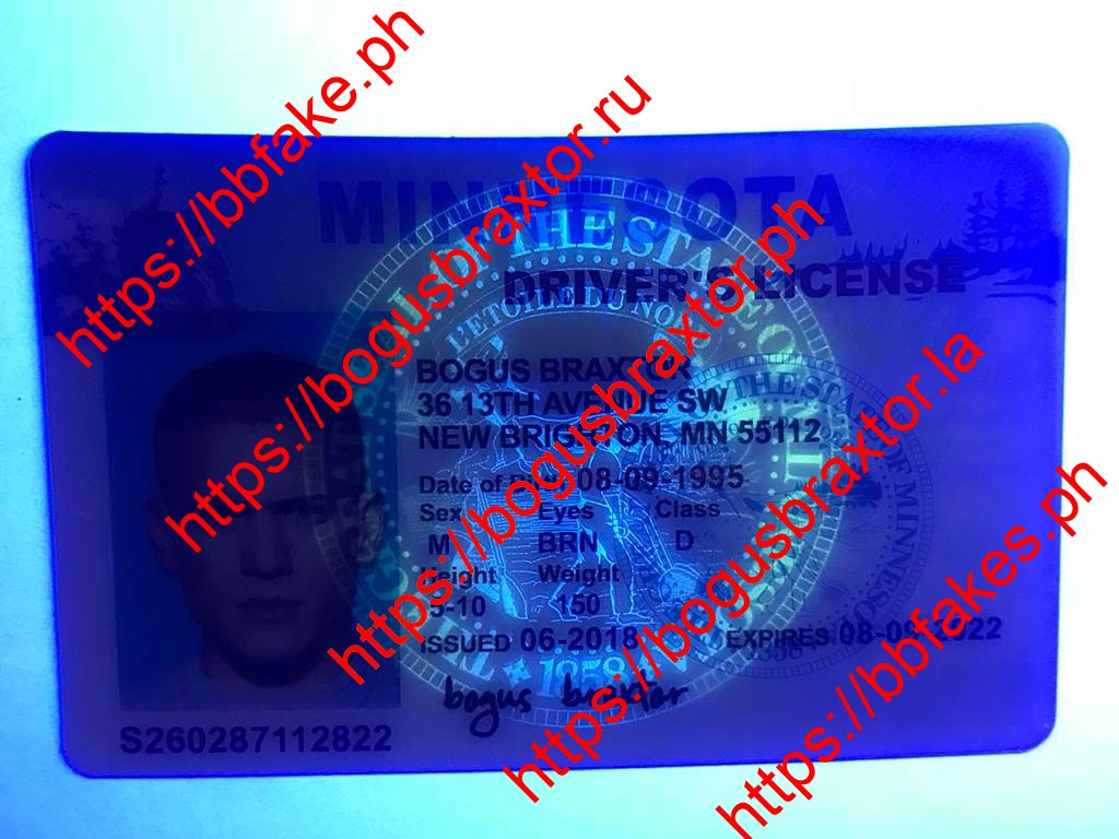 Minnesota Fake IDs - Image 2