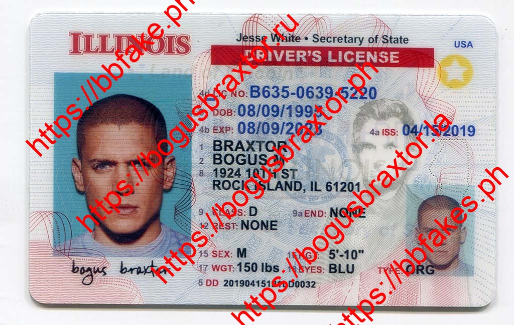 Bogus Braxtor Fake ID - Illinois Fake ID
