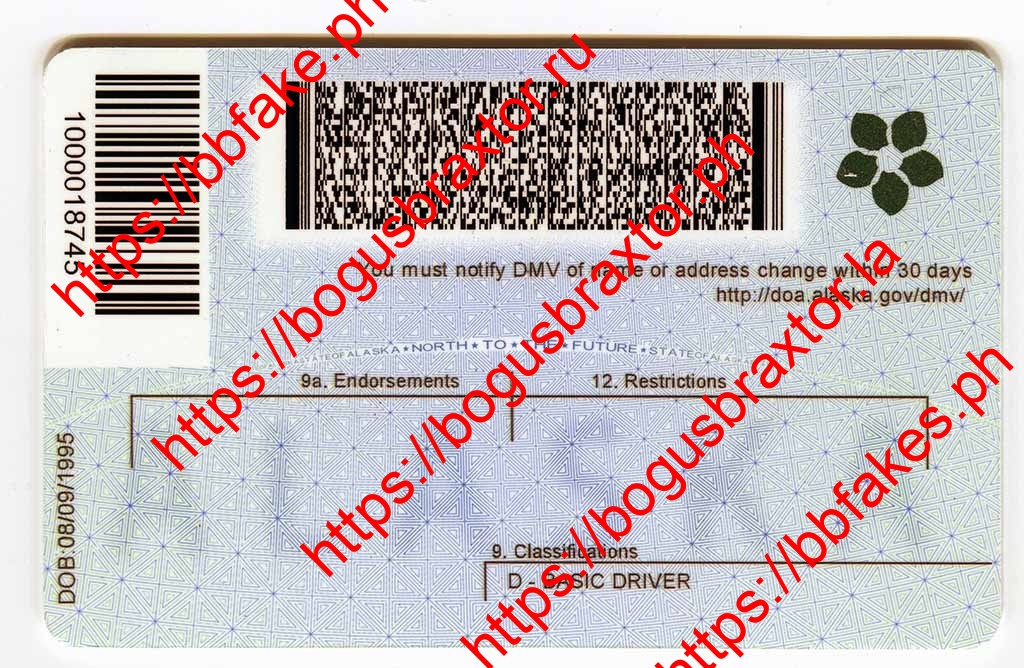 Alaska Fake ID - Image 2