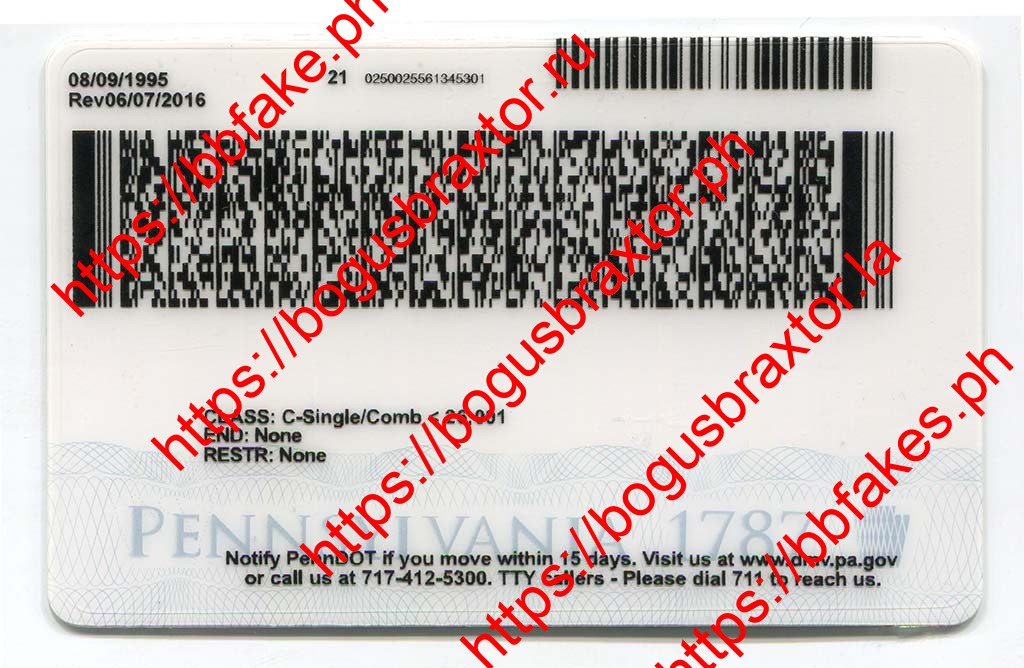 New Pennsylvania Fake ID - Image 3