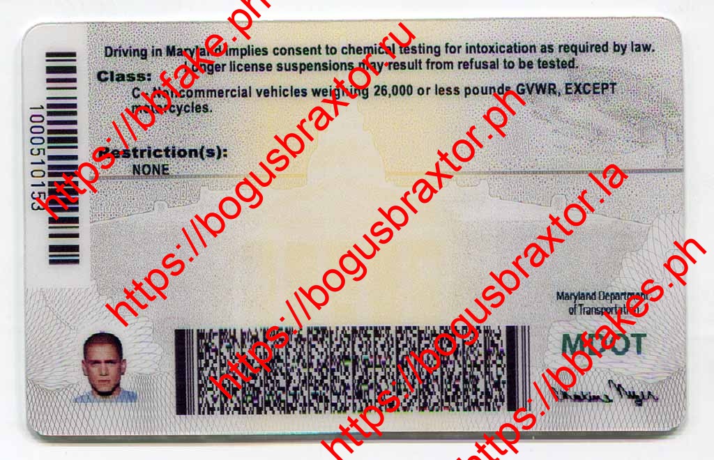 Maryland Fake ID - Image 3