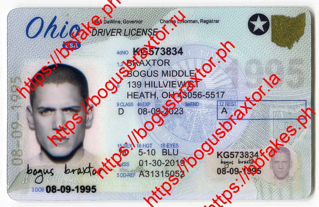 Bogus Braxtor Fake ID - Ohio Fake ID