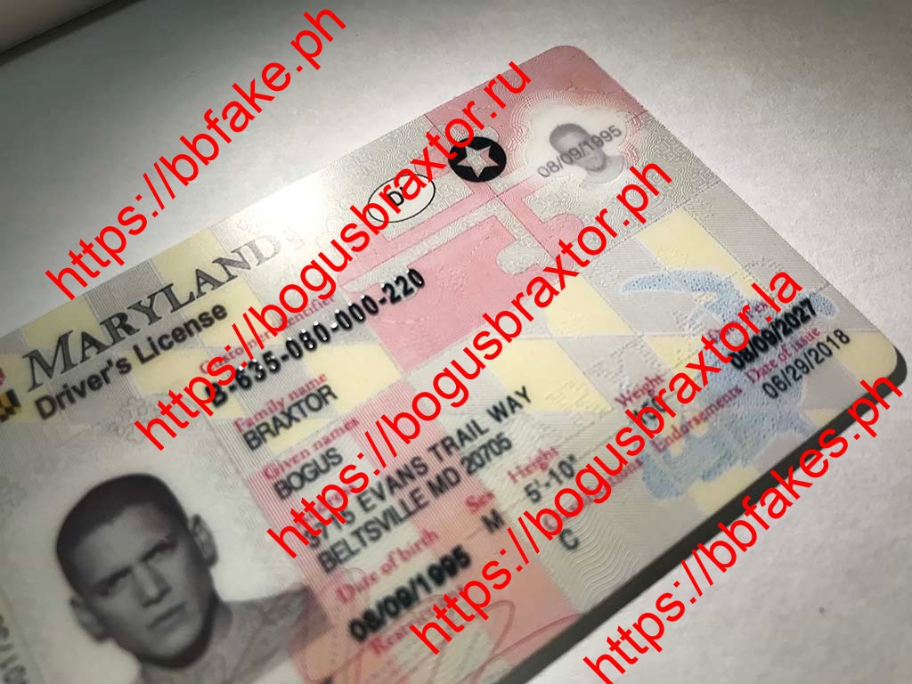 Maryland Fake ID - Image 4