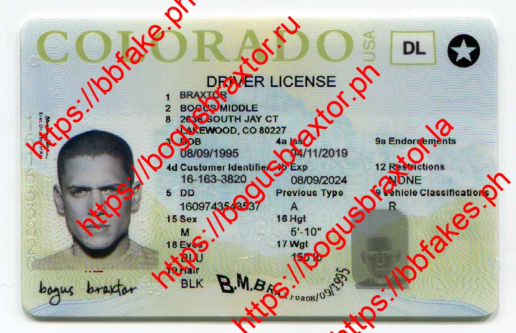 Bogus Braxtor Fake ID - Colorado Fake IDs