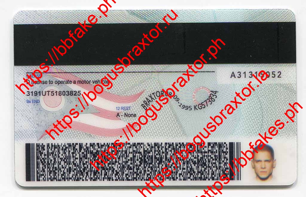 Ohio Fake ID - Image 2