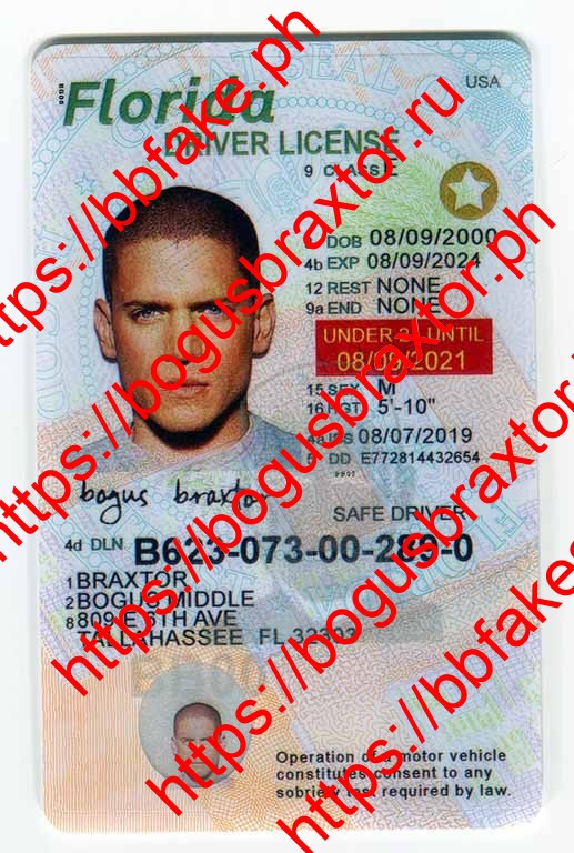 Bogus Braxtor Fake ID - Florida Fake IDs