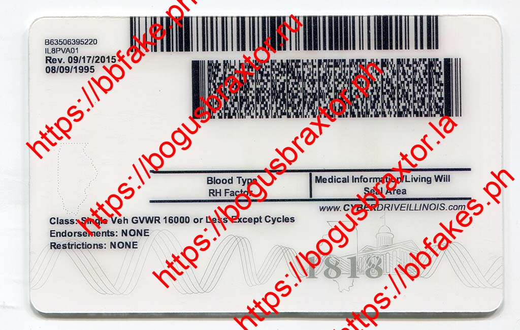 Illinois Fake ID - Image 3