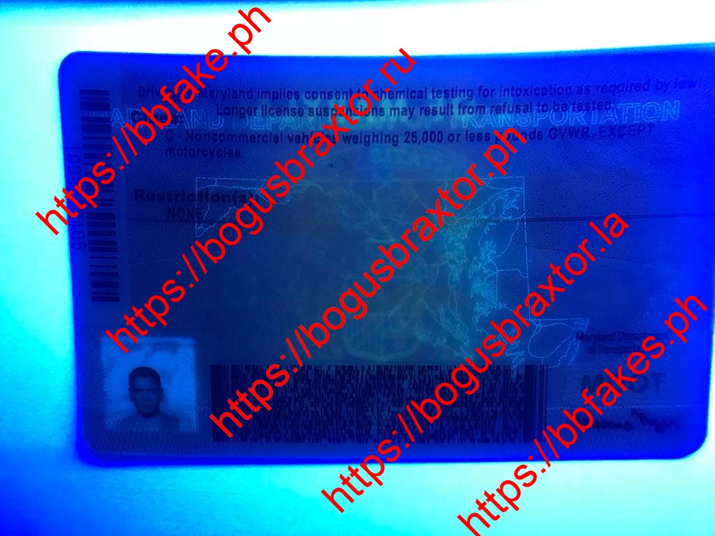 Maryland Fake ID - Image 6