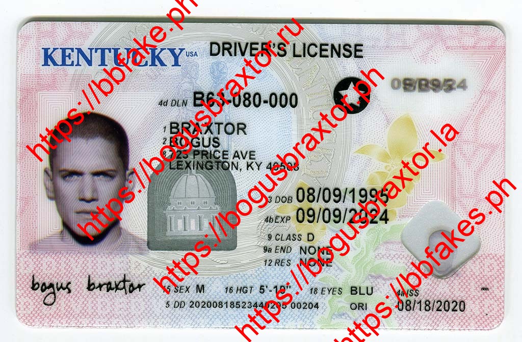 Bogus Braxtor Fake ID - Kentucky Fake ID