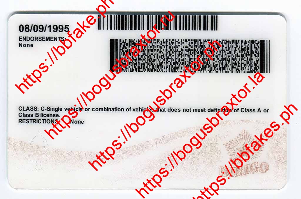 Maine Fake ID - Image 3