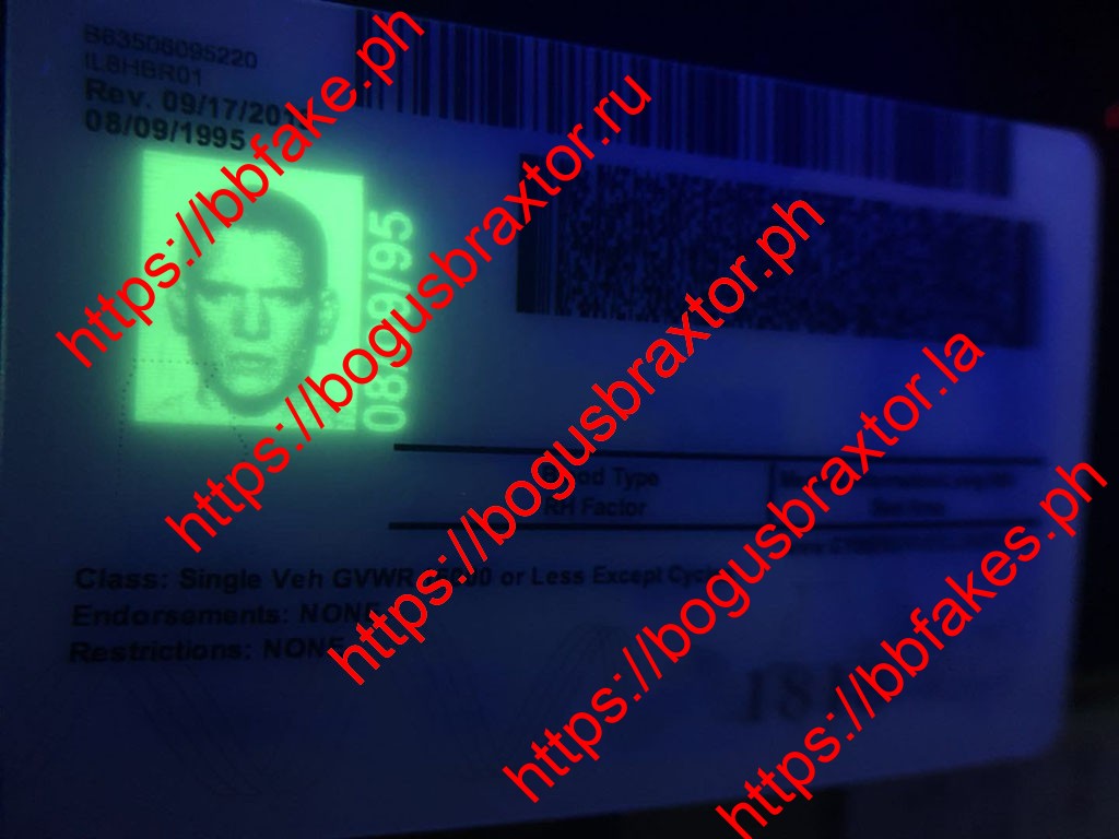 Illinois Fake ID - Image 2