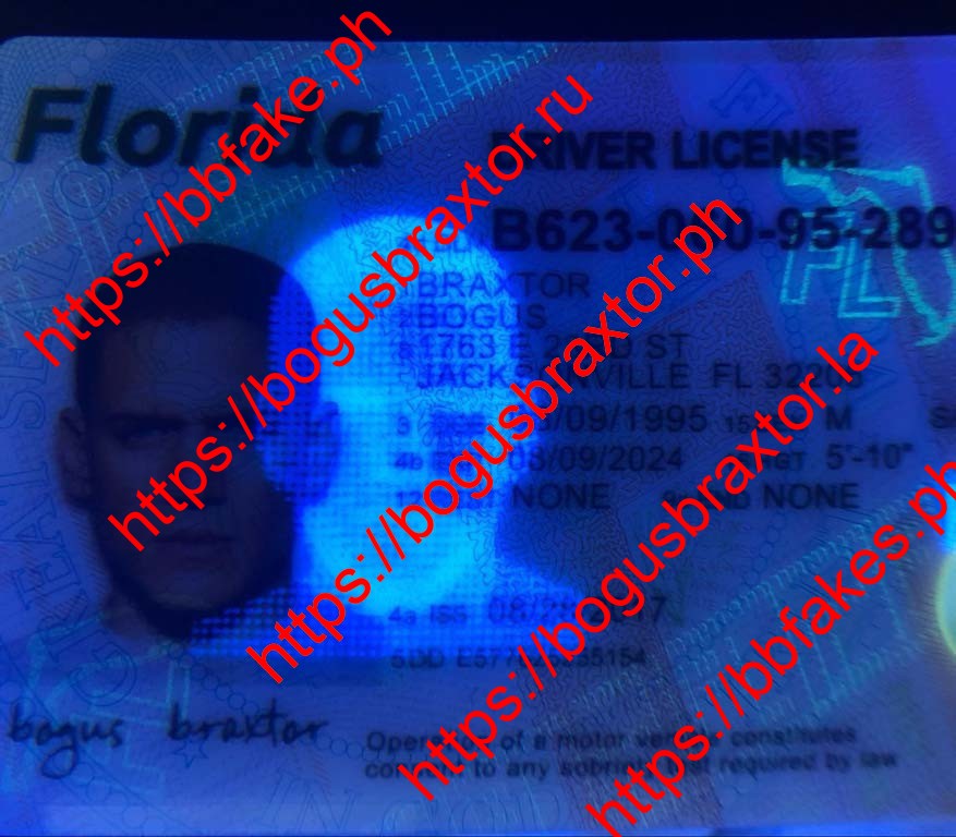 Florida Fake ID - Image 3