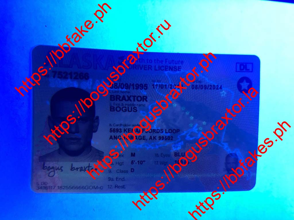 Alaska Fake ID - Image 4