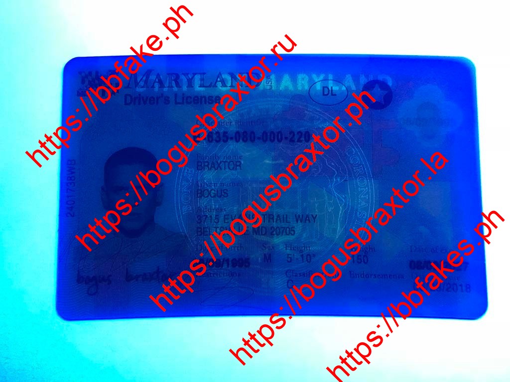 Maryland Fake ID - Image 2