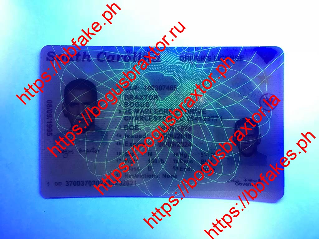 South Carolina Fake ID - Image 2