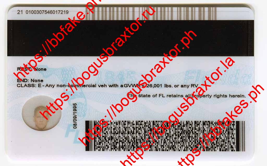 Florida Fake ID - Image 2